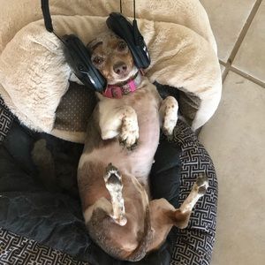 Meet your Posher, Tyler